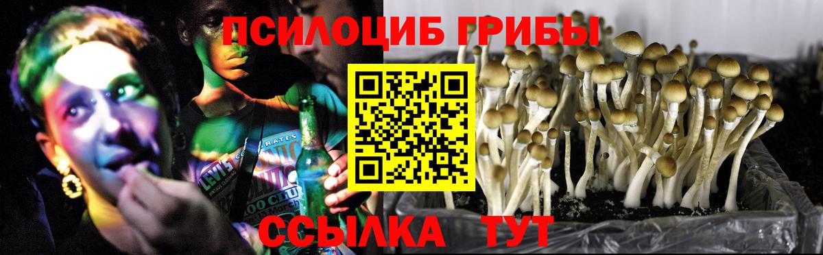 Галлюциногенные грибы мицелий Орехово-Зуево